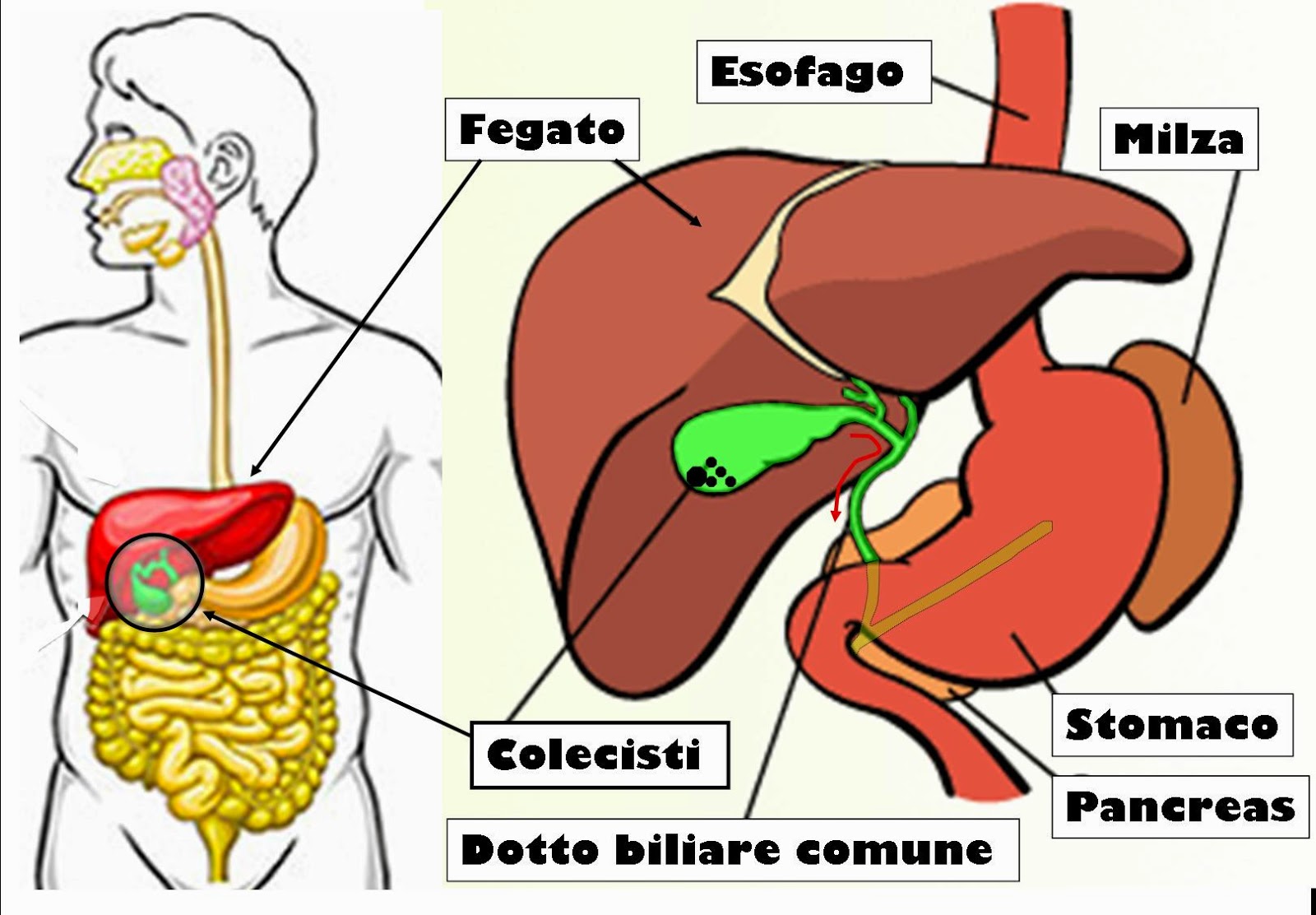 cfare